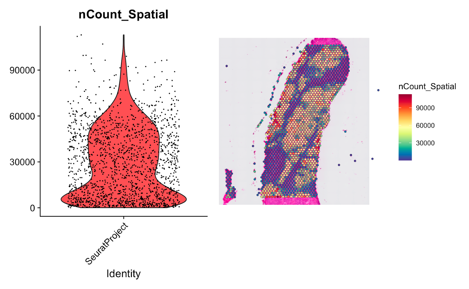 Spatial transcriptomics tissue representation with spot-level expression counts