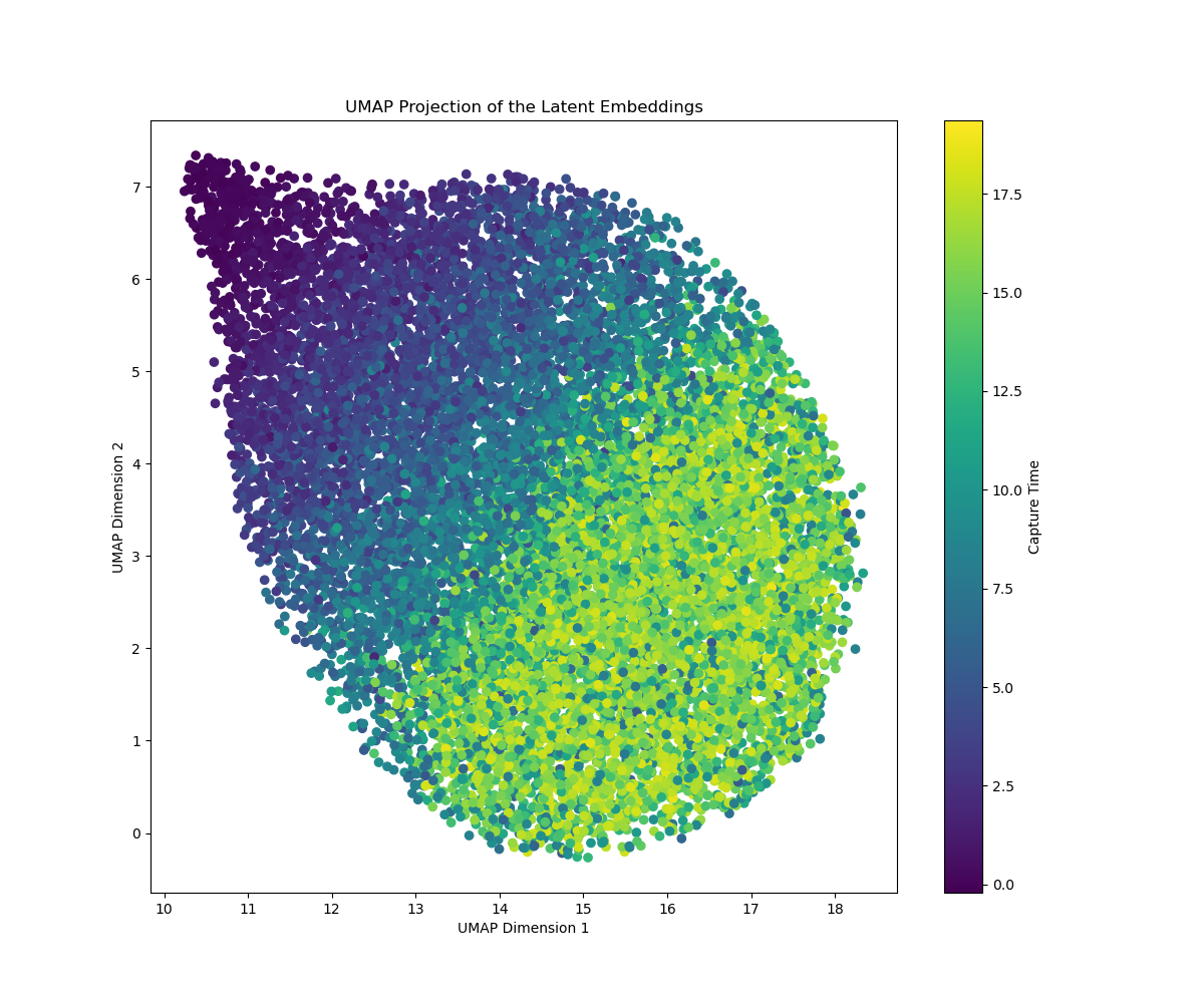 Single-cell latent embedding colored by inferred developmental time