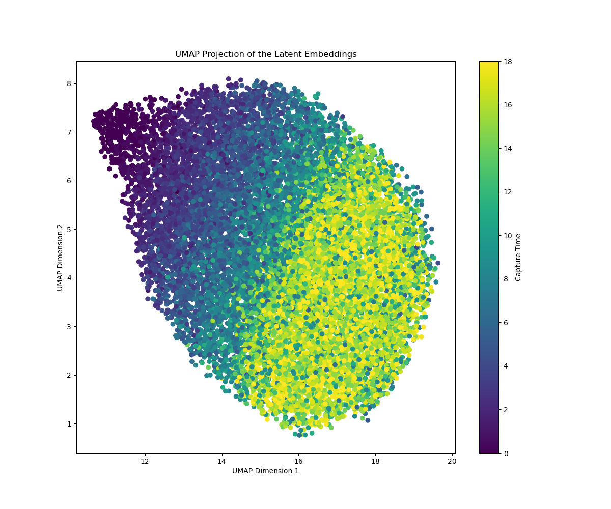 UMAP of single-cell expression states colored by measured capture time